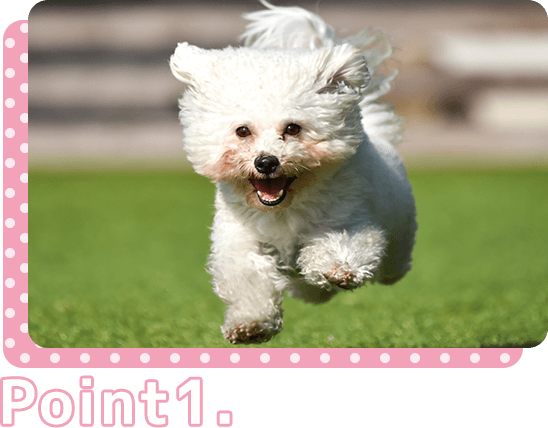 適度な運動と 一頭でも過ごせるような訓練を