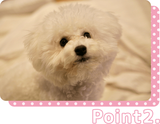 日常のお手入れを