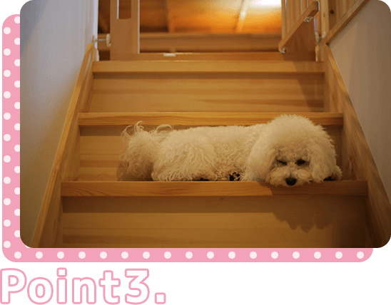 家庭内ではケガを防ぐ対策を